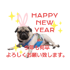 煮豆。第２弾。