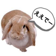 めーぷるのところどころ関西弁②