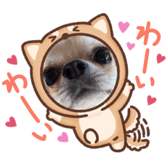 きゃらもなスタンプ