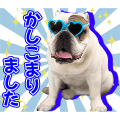 岡本屋売店看板犬チャーリーのスタンプver2