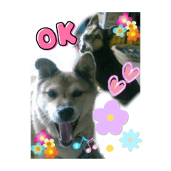 大切な家族！！！