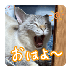 ふみポンのスタンプ