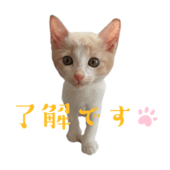 まめつぶといっしょ