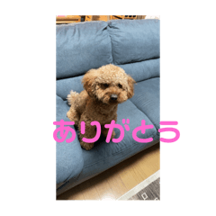 Mr Daniel_20240427190307