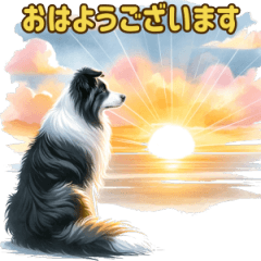 ボーダーコリーの便利なスタンプ