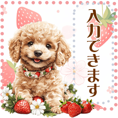 春のトイプードル・メッセージスタンプ