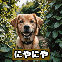 Expressive Dog&#39;s Stickers