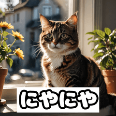 ゆるかわスタンプセット！