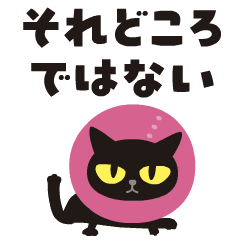 動く！ぐるぐるくろねこ 12【あやふや編】