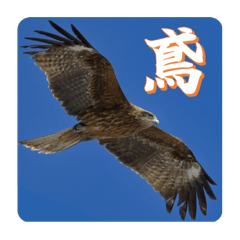 トビ写真スタンプver2