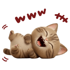 癒やしを与える猫