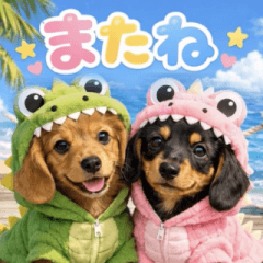 飛び出す♡着ぐるみダックス