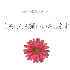 やさしい敬語スタンプ（春の花・ガーベラ）