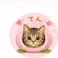 Ten Daily Stickers
