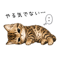 ぐでぐでベンガル子猫