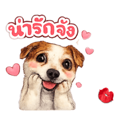 Hui Hui kha_20260704103741