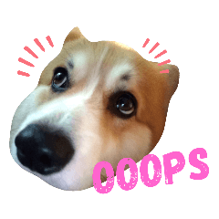 Teddy Bear the Prince (ver.2)