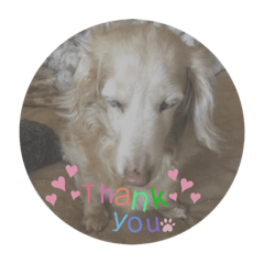 ラッシュちゃん♡