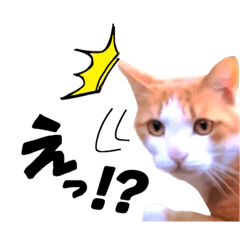 猫スタンプ ～チャロver.～
