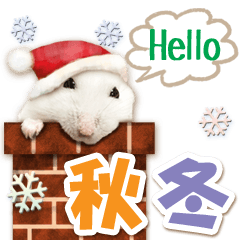 秋から冬に使える♥可愛いハムスターたち