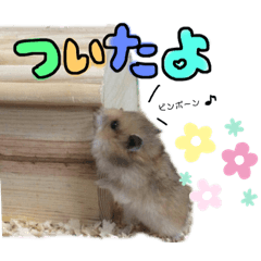 れいとあなの日常