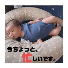 悠くんの日常スタンプ