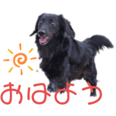 黒ダックス♡スタンプ　by KEIKO