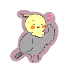 おかめちゃん(オカメインコ)