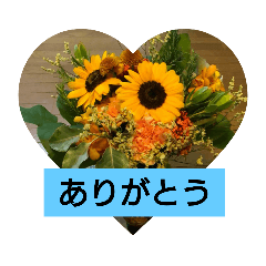 大きな文字  &                 シンプル