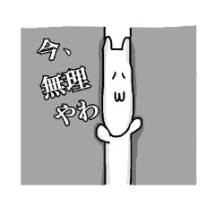 関西育ちのねこ にゃーがりん