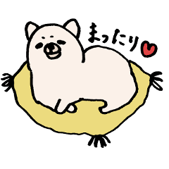 ポメラニアンのごん