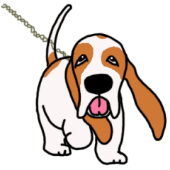 バセットハウンド (犬)