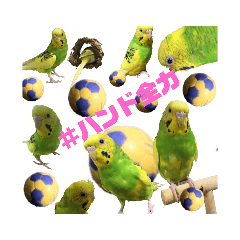 らんまるすたんぷ5