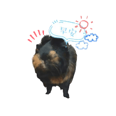 Annie_20200821145608