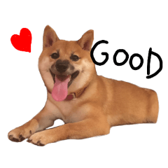 だってあんこだもの。