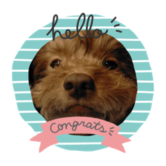 R氏、わりと無口。