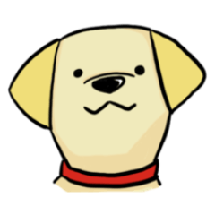 ラブラドールのアストンくん