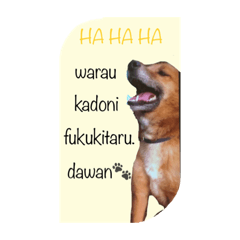 犬と兎とウサギとイヌ