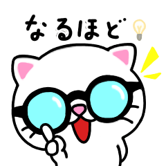 白猫の しーチャン