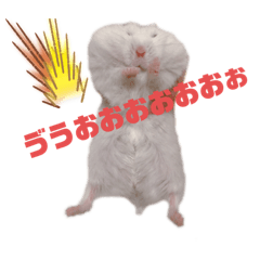 ハムハムはーむ