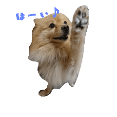 チロルとチョコの仲間たち❤️パート2