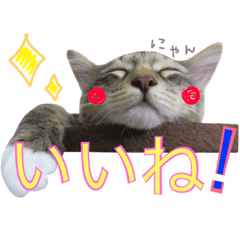 ねこた〜ち part4