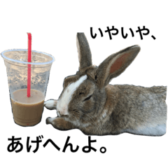 ゲスい、可愛い、動物達