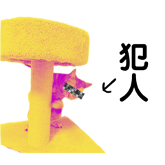 うちのねこ　スタンプ