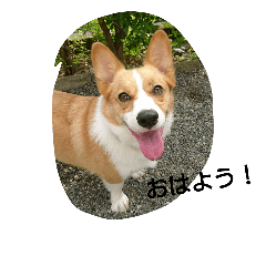 ヒコ丸の花丸スタンプ