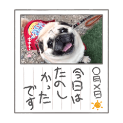 ゆきちのはらぺこスタンプ(◍•㉦•◍)๑