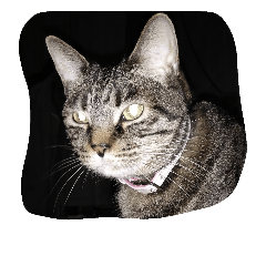 私の大切な愛娘です。