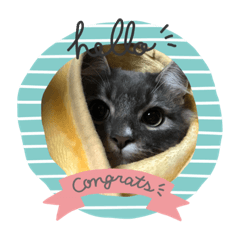 チャックンのくんちゃん