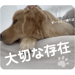 びす家物語（びすけ、みるふ）／mimi02