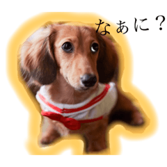 ステちゃんですpart1